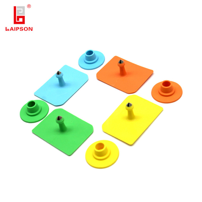 52mm Rectangular Pig Goat Cattle Livestock Ear Tag With Different Colors