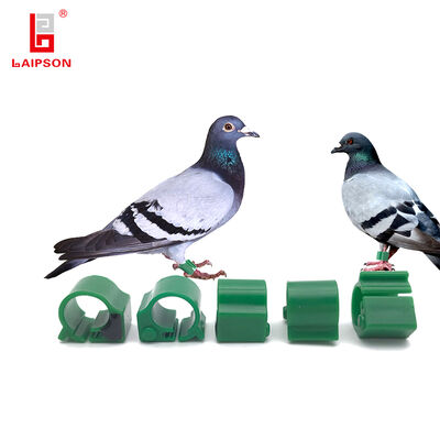 RFID Animal Ear Tag plastic pigeon foot ring adjustable size with low drop rate and strict tests for animal identification