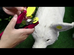 Plastic Cattle Pig Pig Ear Tags Yellow 44*50mm For Vaterinary Equipments